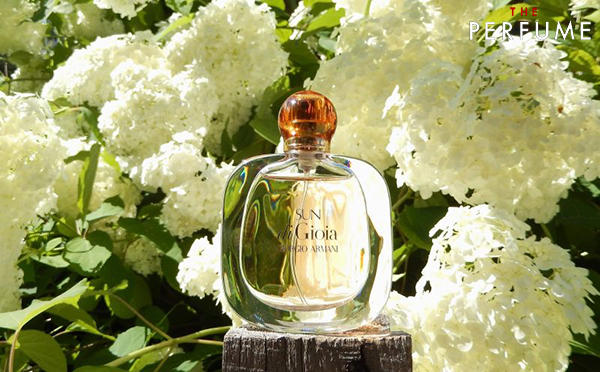 Nước Hoa Giorgio Armani Sun di Gioia 