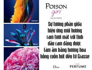 dior-poison-girl-edt-review-100ml