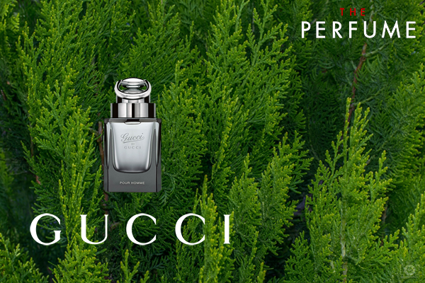 gucci-by-gucci-pour-homme-50ml