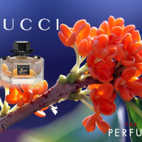 gucci-flora-by-gucci-edp-50ml