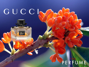 gucci-flora-by-gucci-edp-50ml