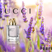 gucci-made-measure-eau-de-toilette