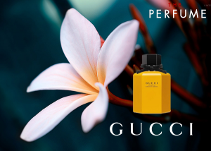 nuoc-hoa-gucci-flora-gorgeous-gardenia-50ml