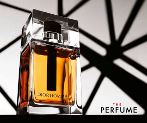 nuoc-hoa-nam-Dior-Homme-eau-de-toilette-100ml