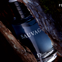 sauvage-dior-100ml