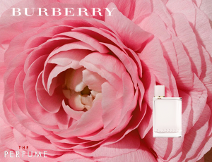 burberry-her-edp-100ml