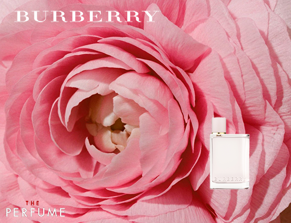 Nước hoa Burberry Her 50ml Eau De Parfum Màu Hồng 