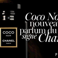 chanel-coco-noir-edp-100ml