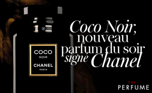 chanel-coco-noir-edp-100ml