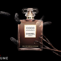 Nước hoa Chanel Coco Mademoiselle Intense 100ml Eau De Parfum