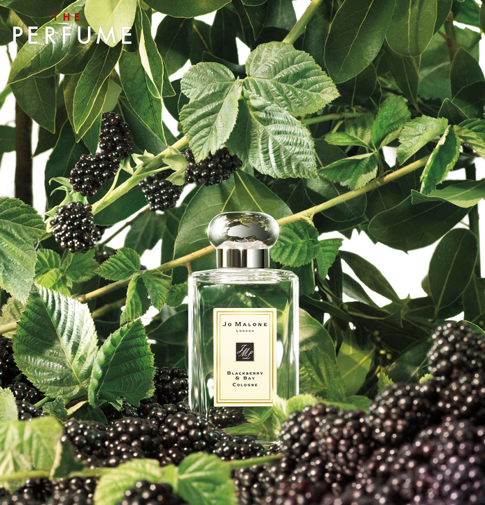 Jo MALONE ブラックベリー ベイ 30ml - ユニセックス