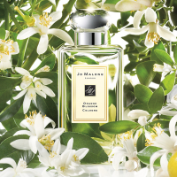 Jo-Malone-Orange-Blossom-edp