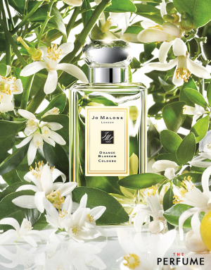 Jo-Malone-Orange-Blossom-edp