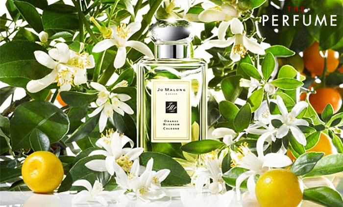 Jo-Malone-Orange-Blossom-for-unisex