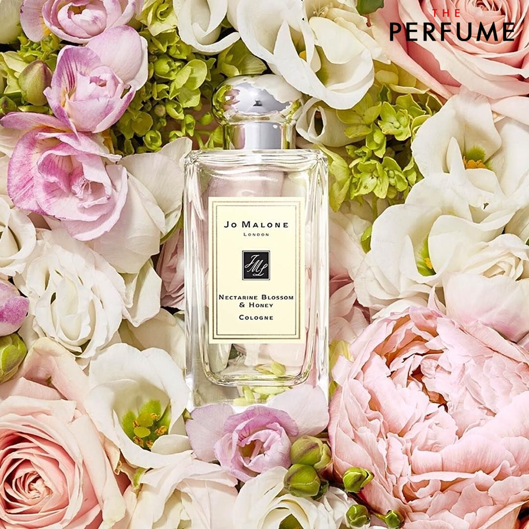 Nước hoa Jo Malone Nectarine Blossom & Honey 100ml