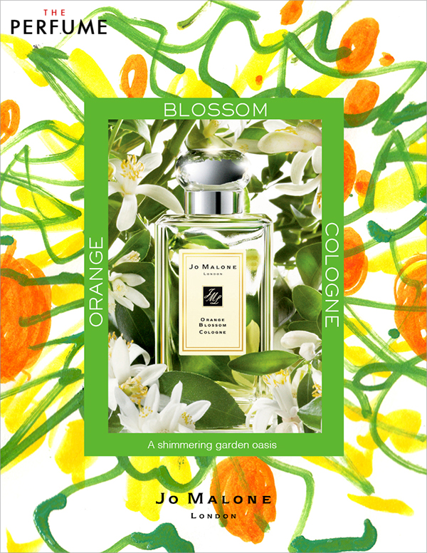 Nước hoa Jo Malone Orange Blossom