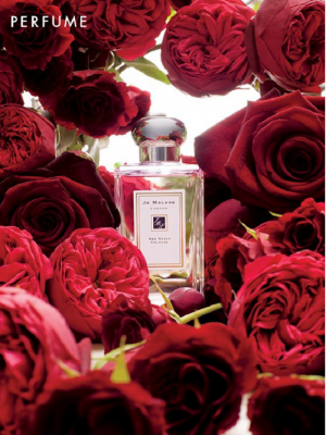 jo-malone-red-rose-edp