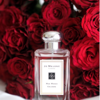 thiet-ke-jo-malone