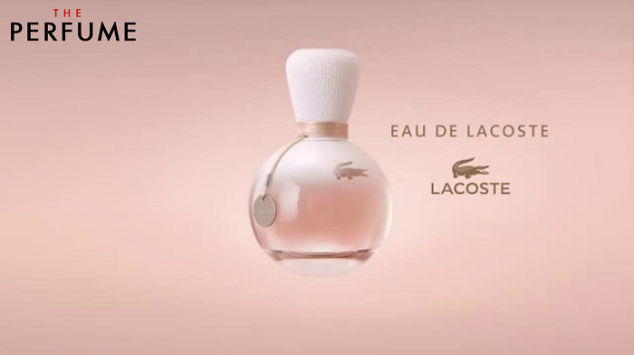 ED-lacoste