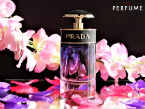 Prada Candy Night Eau De Parfum