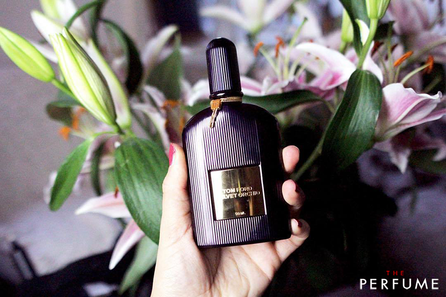 Review Nước Hoa Tom Ford Velvet Orchid Lumière Táo Bạo Và Quyến Rũ