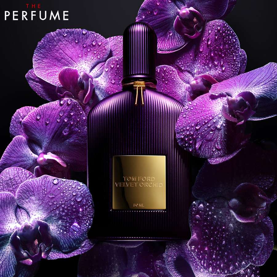 Review Nước Hoa Tom Ford Velvet Orchid Lumière Táo Bạo Và Quyến Rũ