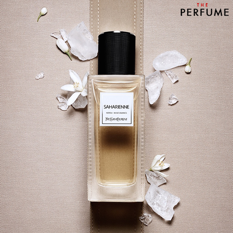 review-ysl-saharienne-le-vestiaire-des-parfums-125ml