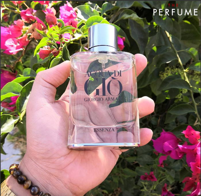 Review Nước Hoa Giorgio Armani Acqua Di Gio Essenza Có Sức Hấp Dẫn