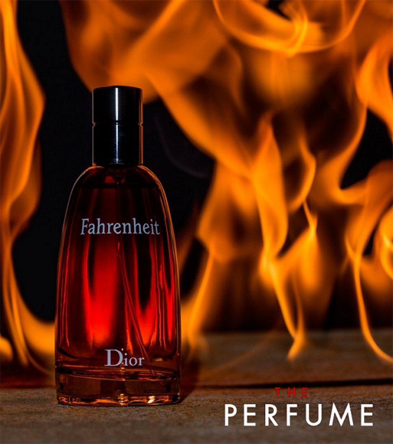 review-fahrenheit-edt-dior-100ml