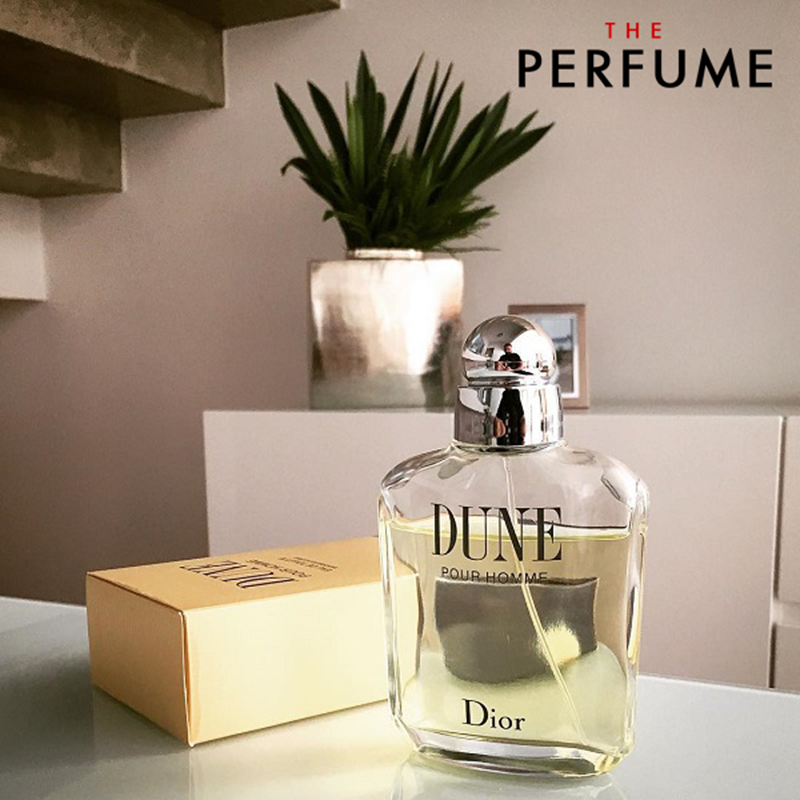 review-nuoc-hoa-dior-dune-pour-homme-edt