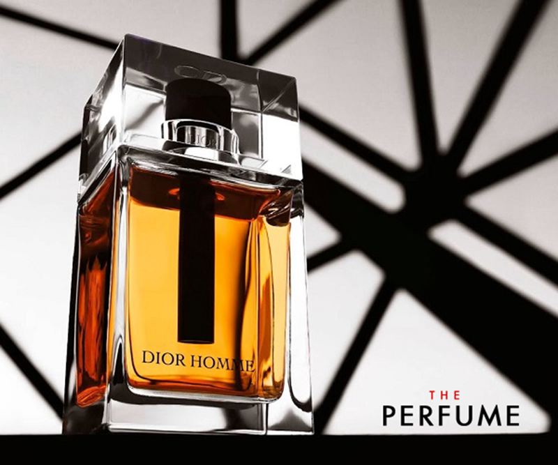 review-nuoc-hoa-nam-Dior-Homme-eau-de-toilette-100ml