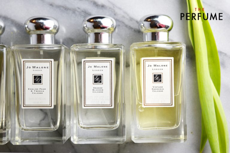 Nước Hoa Jo Malone Mùi Nào Thơm? Mua Ở Đâu Chính Hãng?