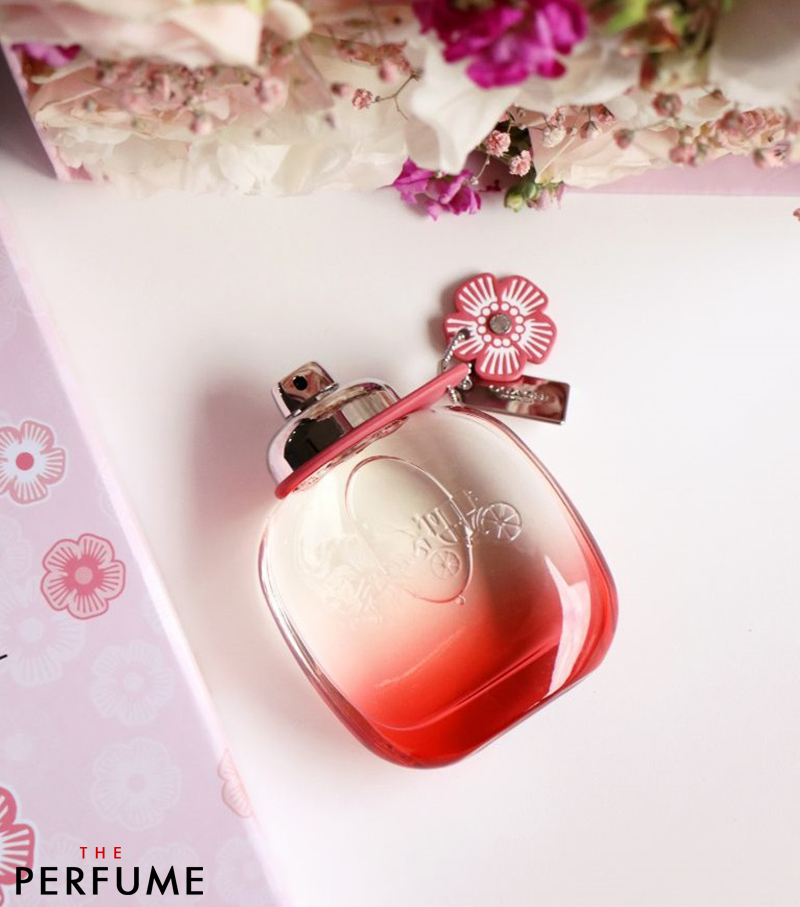 Review N c Hoa Coach Floral Blush EDP Bay B ng Thanh Tao 90ml