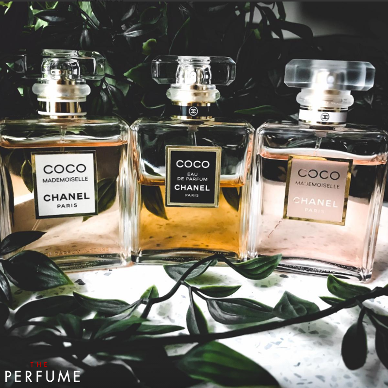 Review Nước Hoa Chanel Coco Eau De Parfum Mùi Hương Mê Hoặc