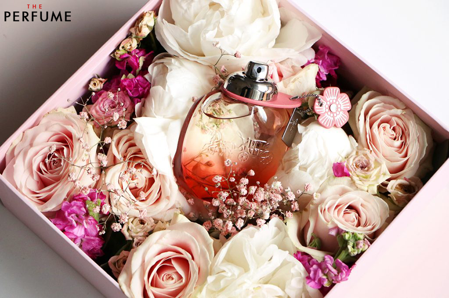 coach floral blush 30ml