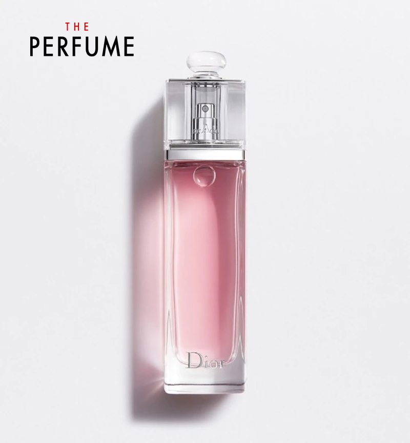 dior-6