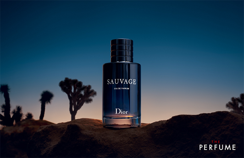 review-dior-sauvage-eau-de-parfum-100ml