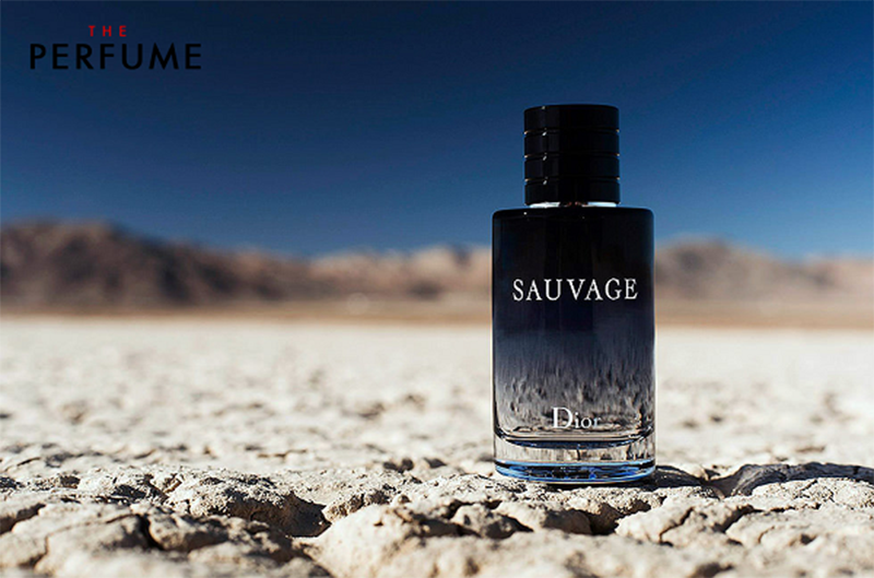 review-dior-sauvage-eau-de-toilette-100ml