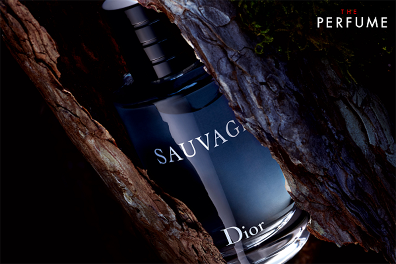 review-sauvage-dior-100ml