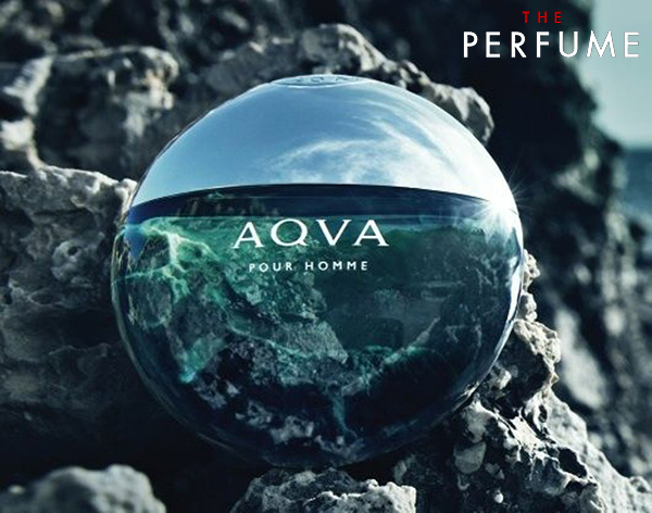 bvlgari-aqva-pour-homme-edt