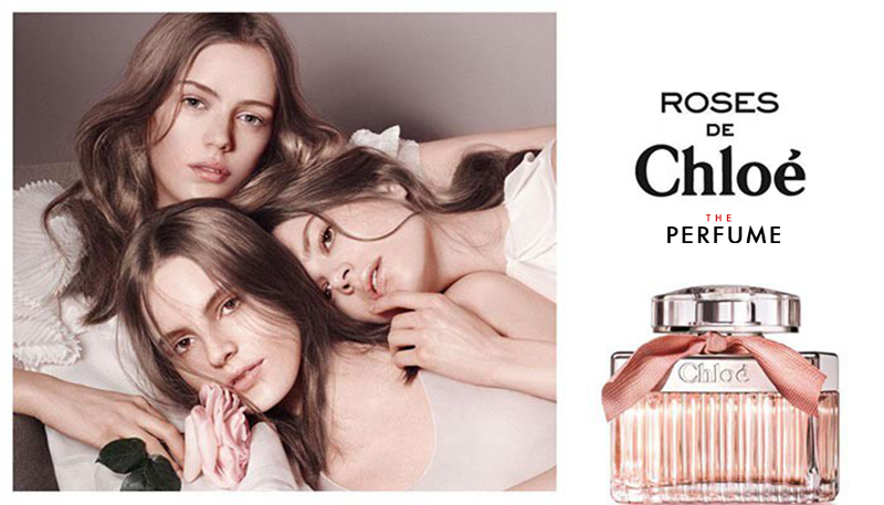 Chloe rose perfume online 50ml