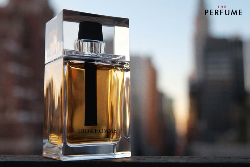 nuoc-hoa-dior-dior-homme-edt-1