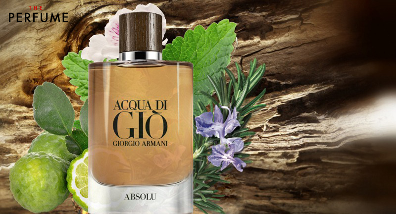 Armani acqua di gio pantip best sale