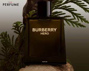 burberry hero 1