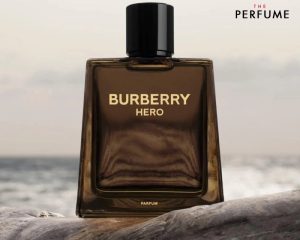 burberry hero