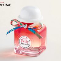 hermes-tutti-twilly-d-hermes