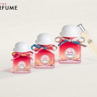 hermes-tutti-twilly-d-hermes-edp-1