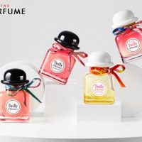 hermes-tutti-twilly-d-hermes-edp