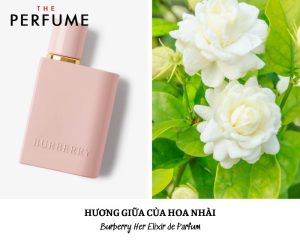 nước hoa burberry her