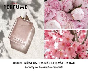 nước hoa burberry her blossom edt